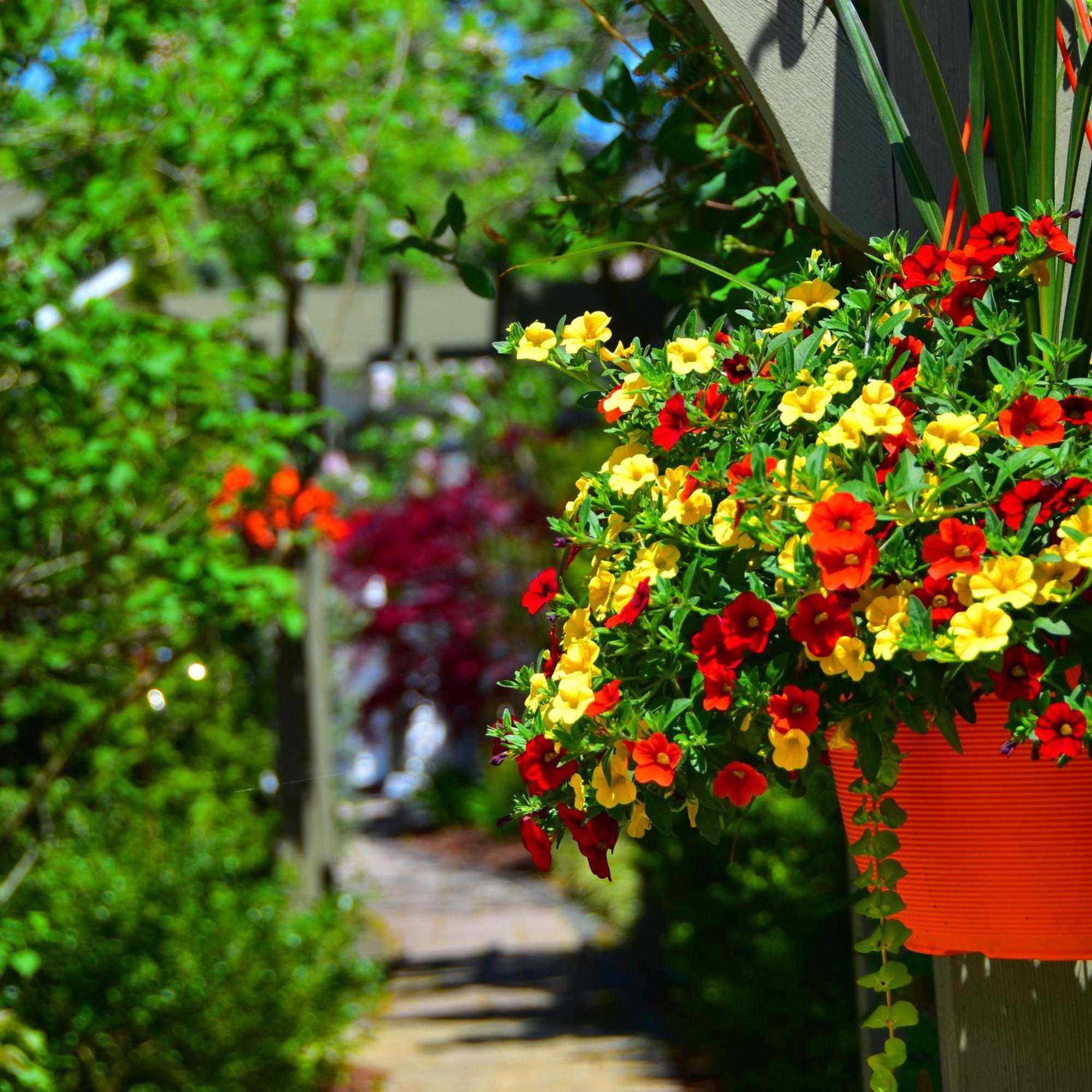 Explorer House Bed & Breakfast Niagara-on-the-Lake Exterior foto